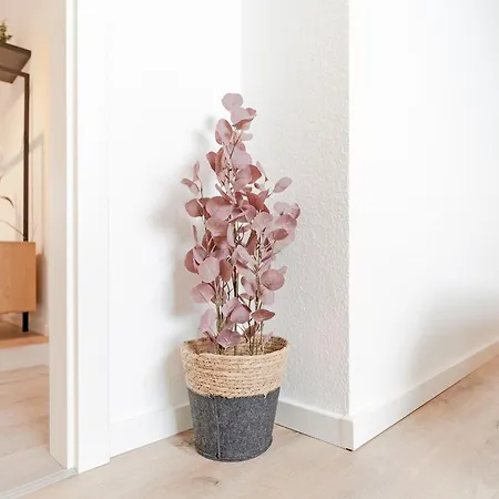 Apartman Ostseeperle Marlene Kellenhusen